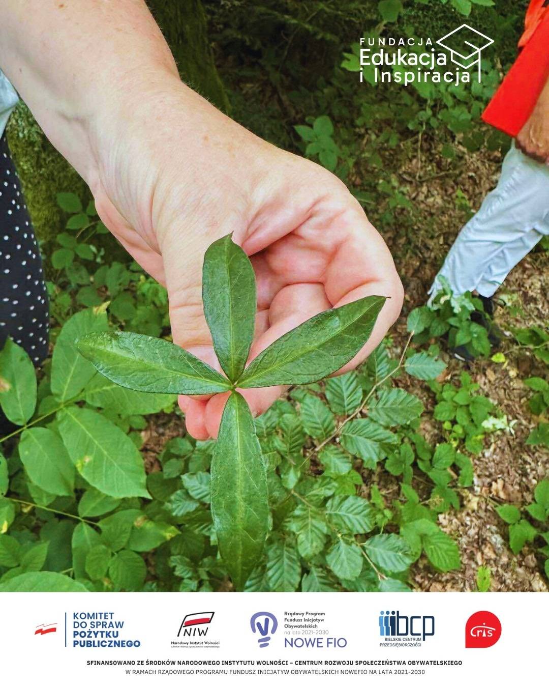 zajęcia w terenie Fundacja Edukacja i Inspiracja