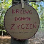 zdjęcie z projektu Leśna gra terenowa, zrealizowanego w roku 2024 ze środków Śląskie NoweFIO