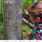 Fundacja Edukacja i Inspiracja zdjęcia z galerii dobrych praktyk