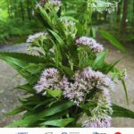 Fundacja Edukacja i Inspiracja zdjęcie z galerii dobrych praktyk