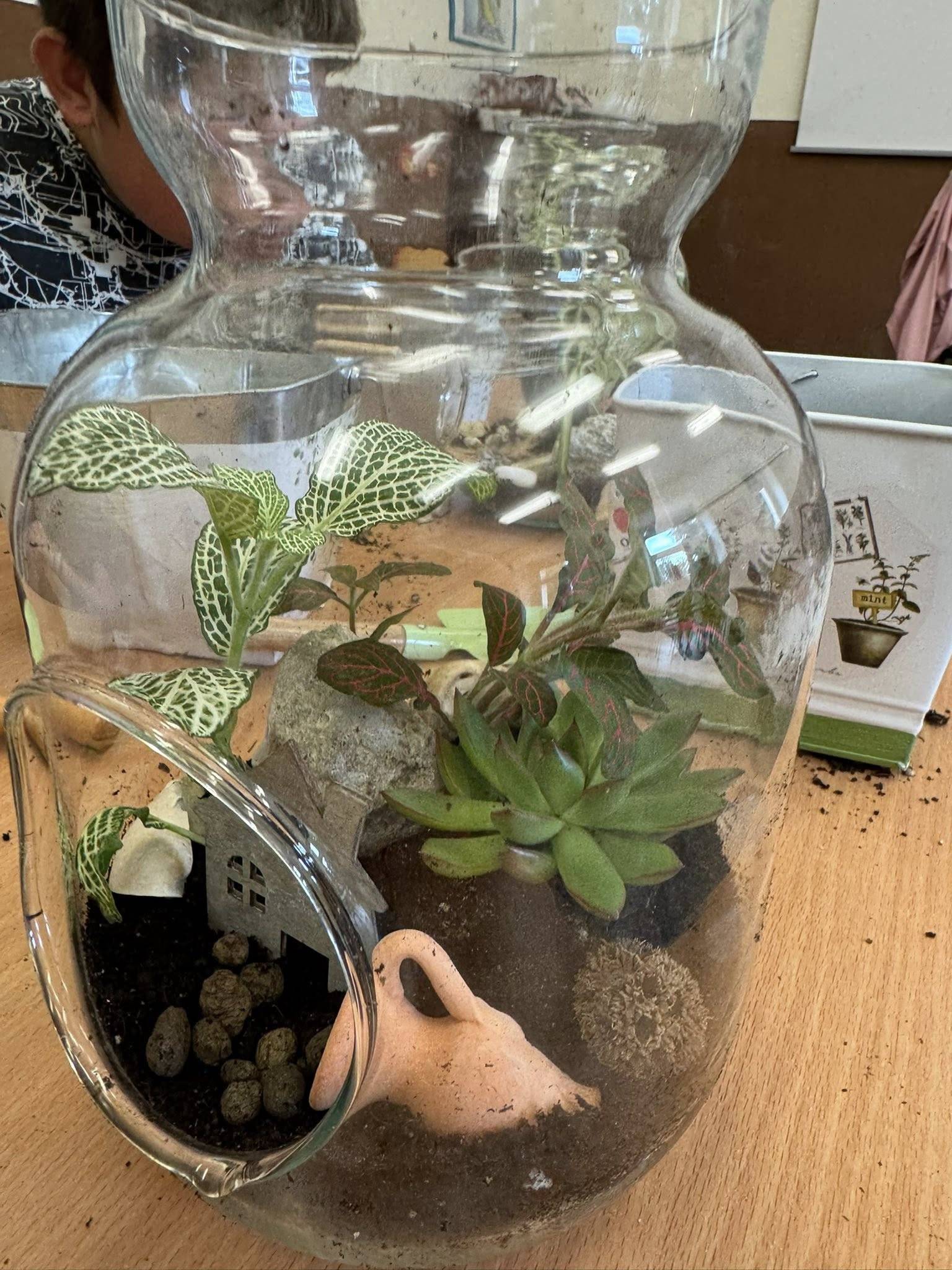 las w słoiku Zielona Moc